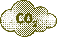 Bamboo absorbs 30% more CO2 than trees.